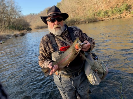 Rainbow Trout Fishing in Broken Bow, Oklahoma