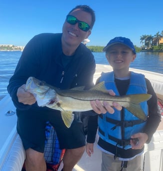 Snook Fishing in Sarasota, Florida