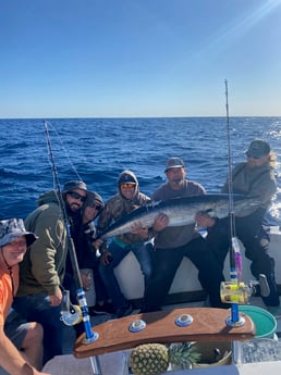 Wahoo fishing in Port Aransas, Texas