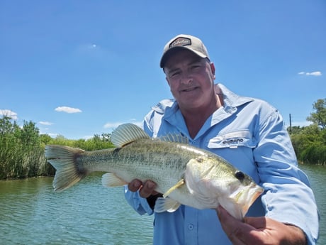 Largemouth Bass fishing in Austin, Texas