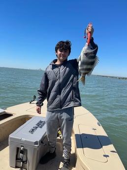 Sheepshead fishing in Galveston, Texas