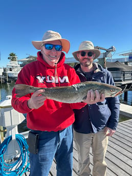 Speckled Trout Fishing in Orange Beach, Alabama