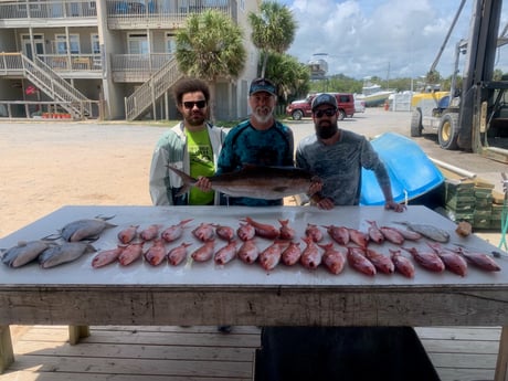 Red Snapper, Triggerfish fishing in Pensacola, Florida