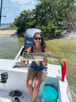 Snook Fishing in Tampa, Florida