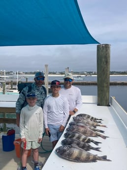 Sheepshead Fishing in Orange Beach, Alabama