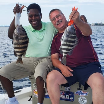 Sheepshead fishing in Mount Pleasant, South Carolina