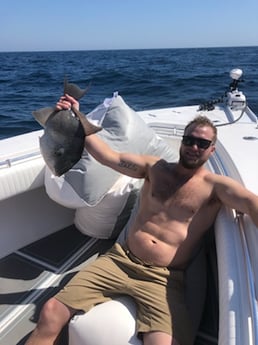 Gag Grouper fishing in Destin, Florida