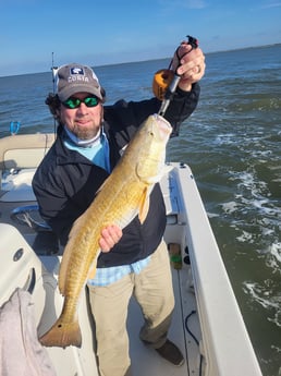 Redfish Fishing in Sulphur, Louisiana