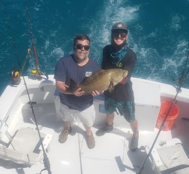 Black Grouper fishing in Key West, Florida