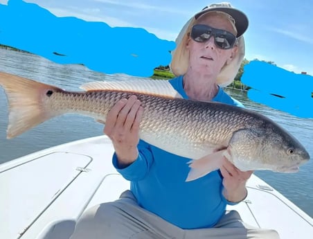 Redfish Fishing in Clearwater, Florida