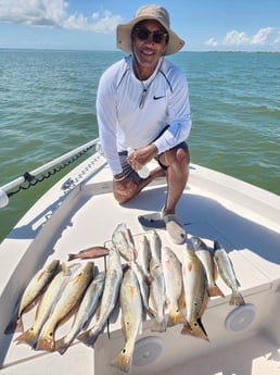 Black Drum, Mangrove Snapper, Redfish, Speckled Trout / Spotted Seatrout fishing in Galveston, Texas