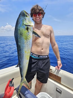 Mahi Mahi Fishing in Fort Lauderdale, Florida