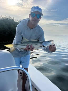 Snook Fishing in Islamorada, Florida