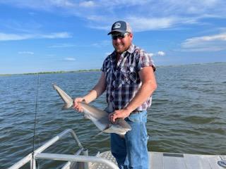 Blacktip Shark Fishing in New Orleans, Louisiana