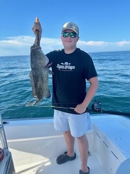 Gag Grouper Fishing in Destin, Florida