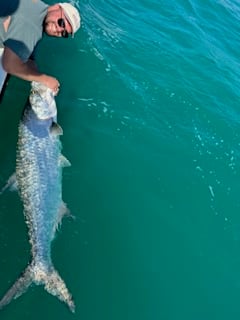 Tarpon Fishing in Key West, Florida