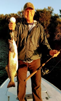 Speckled Trout / Spotted Seatrout fishing in Jacksonville, Florida