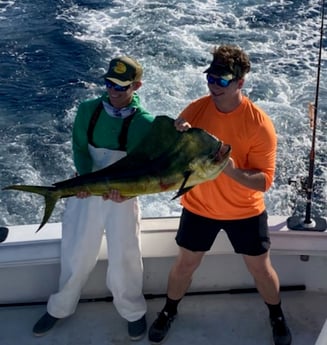 Mahi Mahi / Dorado fishing in Islamorada, Florida