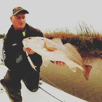 Redfish Fishing in Jacksonville, Florida