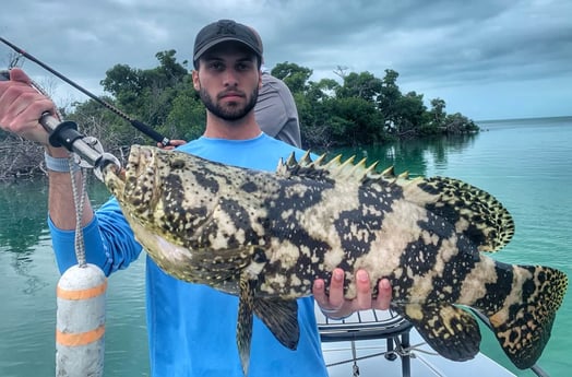 Goliath Grouper fishing in Cudjoe Key, Florida