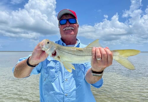 Snook Fishing in Islamorada, Florida