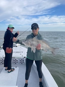 Speckled Trout / Spotted Seatrout fishing in Corpus Christi, Texas