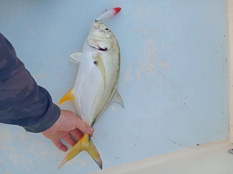 Fishing in Melbourne, Florida