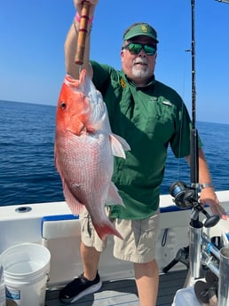 Red Snapper Fishing in Destin, Florida