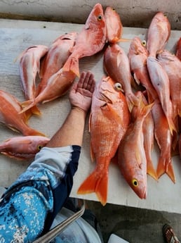 Fishing in Key Biscayne, Florida