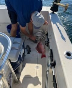 Red Snapper Fishing in Jacksonville, Florida