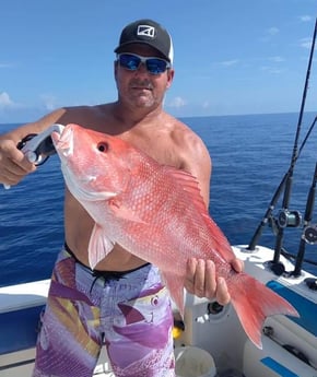 Red Snapper fishing in Clearwater, Florida