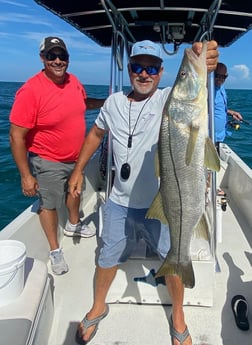 Snook fishing in St. Petersburg, Florida