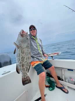 Black Grouper Fishing in Marathon, Florida