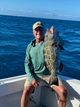 Black Grouper fishing in Marathon, Florida