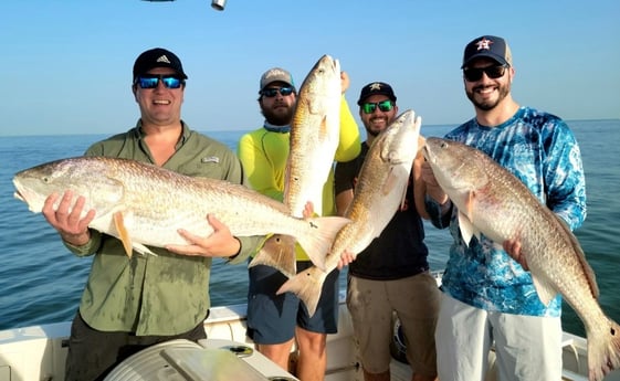 Redfish Fishing in Galveston, Texas