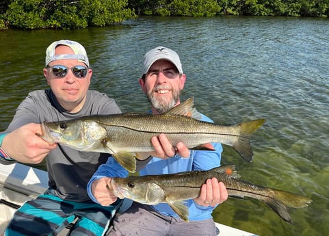 Snook Fishing in Tampa, Florida