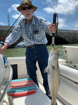 Speckled Trout / Spotted Seatrout fishing in Galveston, Texas