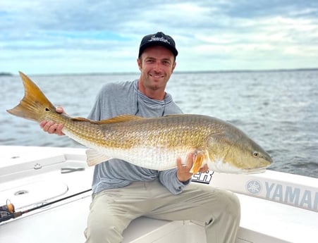 Redfish Fishing in Islamorada, Florida