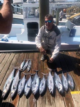 Gag Grouper fishing in Port Orange, Florida