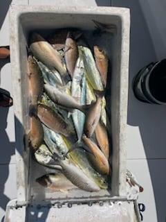 Fishing in Marathon, Florida