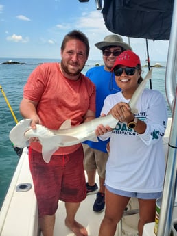 Bonnethead Shark fishing in Galveston, Texas