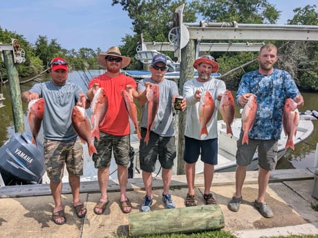 Red Snapper Fishing in Gulf Shores, Alabama