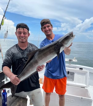 Cobia fishing in Biloxi, Mississippi