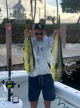 Mahi Mahi Fishing in Palm Beach, Florida