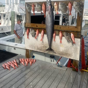 King Mackerel / Kingfish, Triggerfish, Vermillion Snapper fishing in Destin, Florida