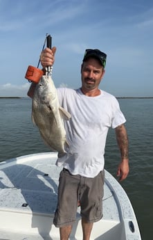 Black Drum Fishing in South Padre Island, Texas