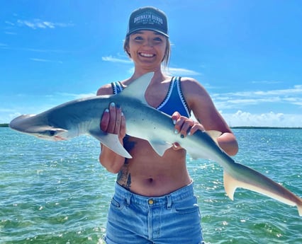 Bonnethead Shark fishing in Tavernier, Florida