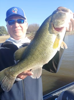 Largemouth Bass Fishing in Alba, Texas