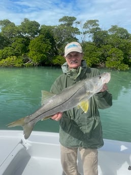 Snook Fishing in Key West, Florida