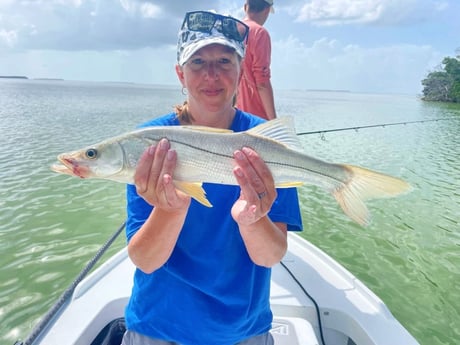 Tarpon fishing in Tavernier, Florida